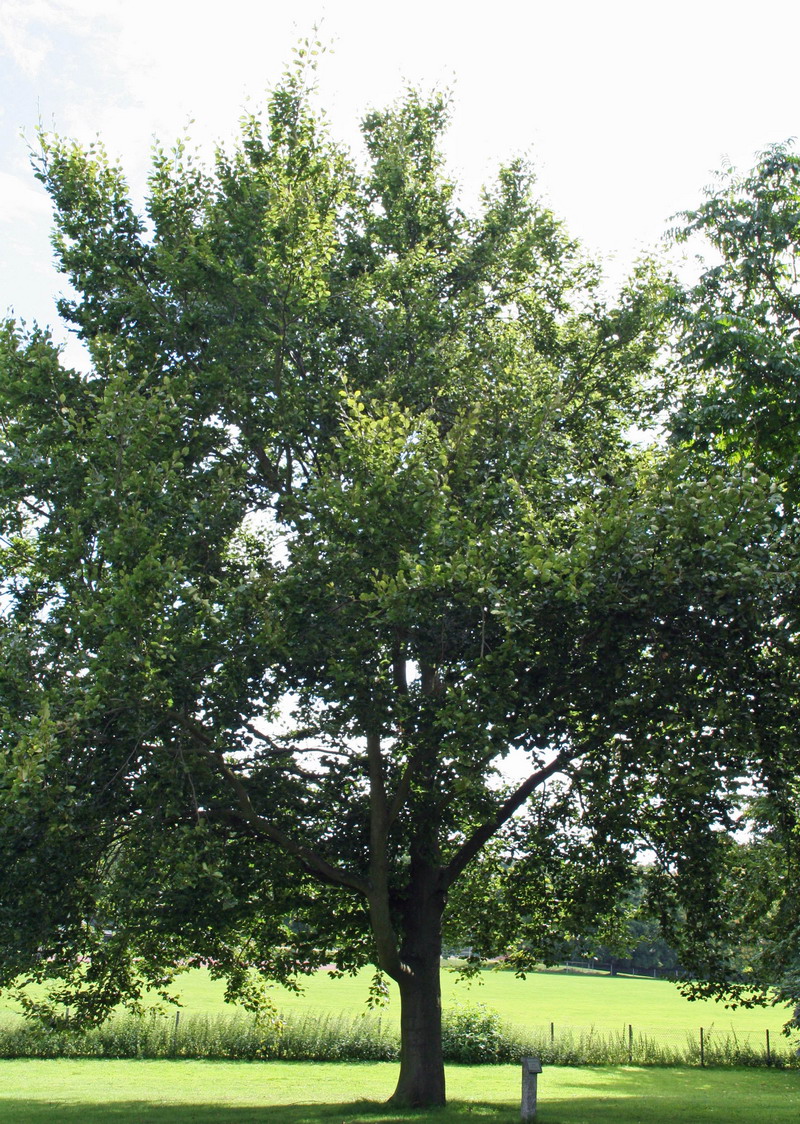 Nachhaltigkeit