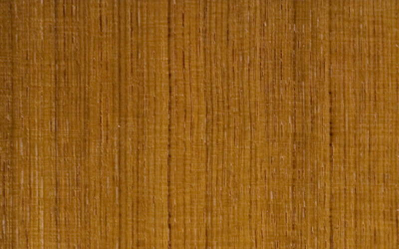 Teak mit Riegel