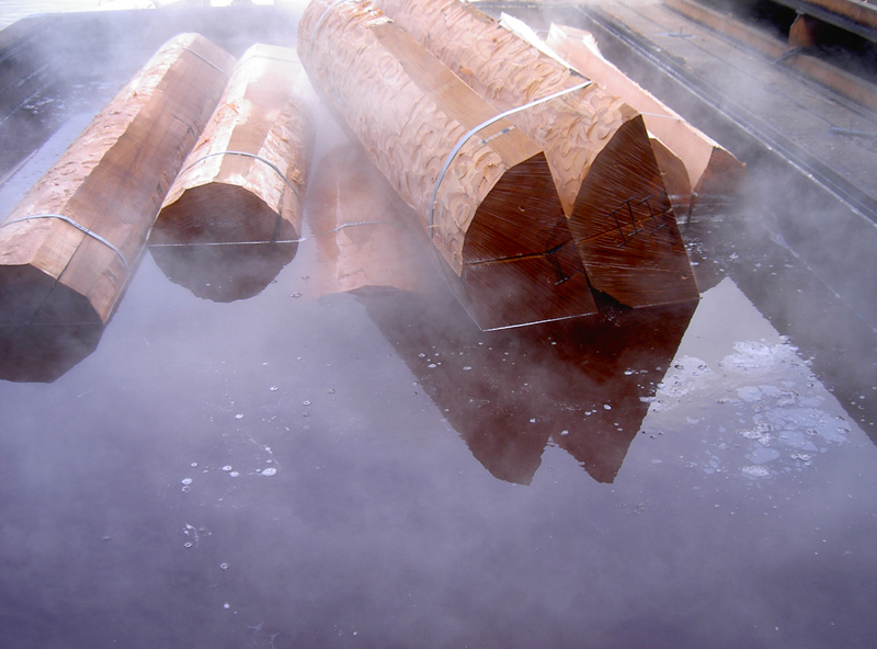 Kochen und Dmpfen von Holz