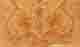 Holzart Esche-Maser oliv