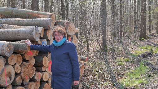 Initiative Furnier + Natur (IFN) e.V.  Ursula Geismann, IFN Geschftsfhrerin Bonner Talweg 84  D-53113 Bonn  Telefon +49 171 1783 444 ursula.geismann@furnier.de